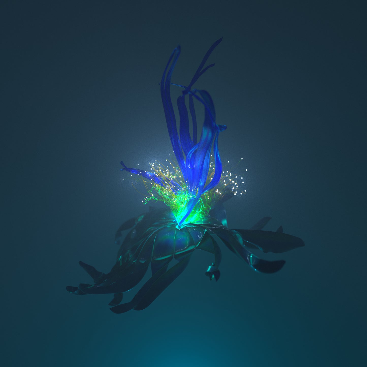 An Undetermined Flower